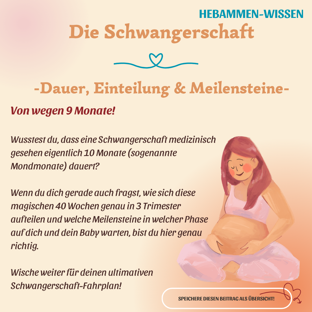 Trimester, Meilensteine & Hebammen-Wissen: Alles, was Du jetzt wissen musst – Bild 1