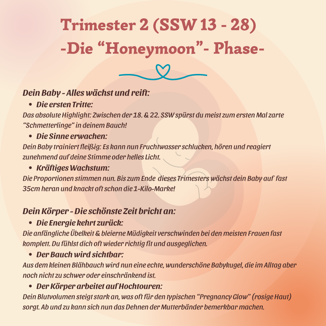 Trimester, Meilensteine & Hebammen-Wissen: Alles, was Du jetzt wissen musst – Bild 4