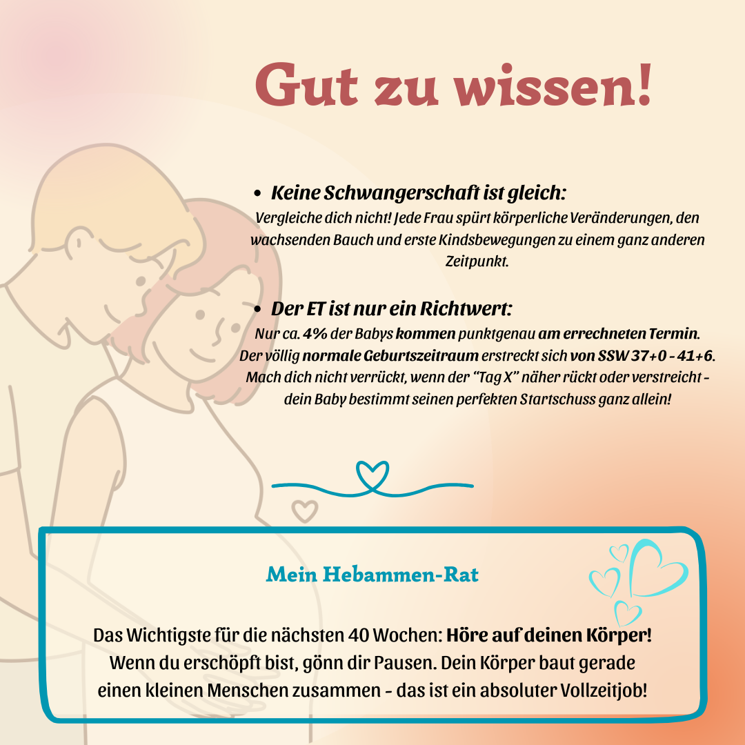 Trimester, Meilensteine & Hebammen-Wissen: Alles, was Du jetzt wissen musst – Bild 6