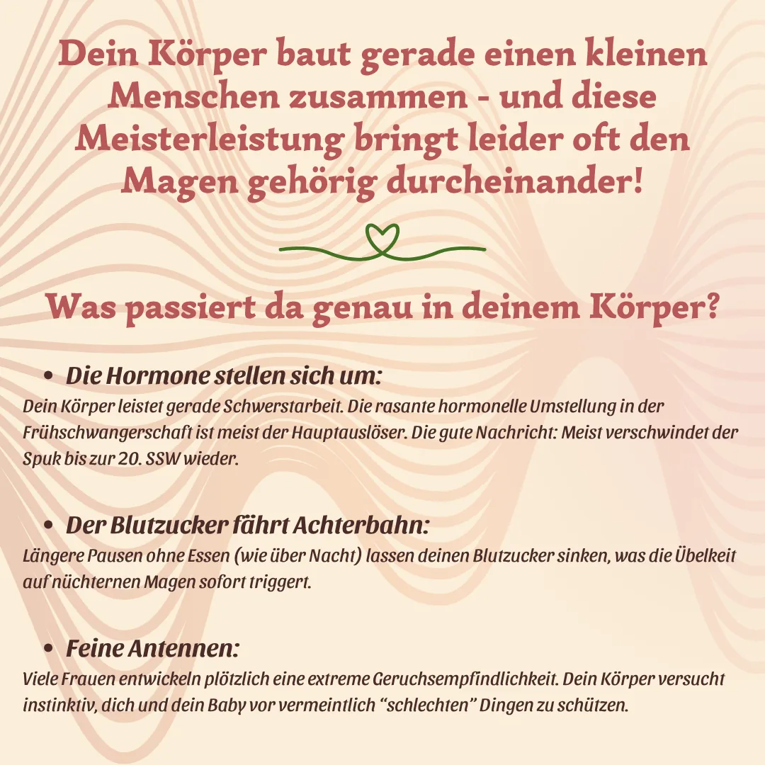 Schwangerschaftsübelkeit: Natürliche Hebammen-Tipps, die wirklich helfen – Bild 2